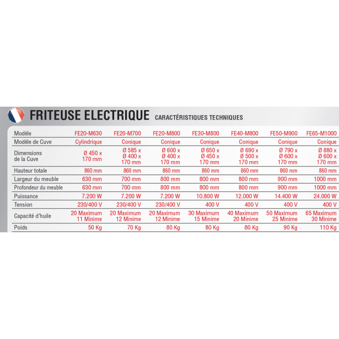 Friteuse électrique 20 litres INBLAN FE 20 -M 700